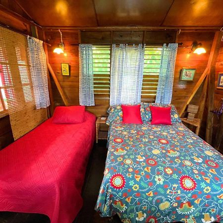 Judy House Cottages And Rooms Negril Habitación foto