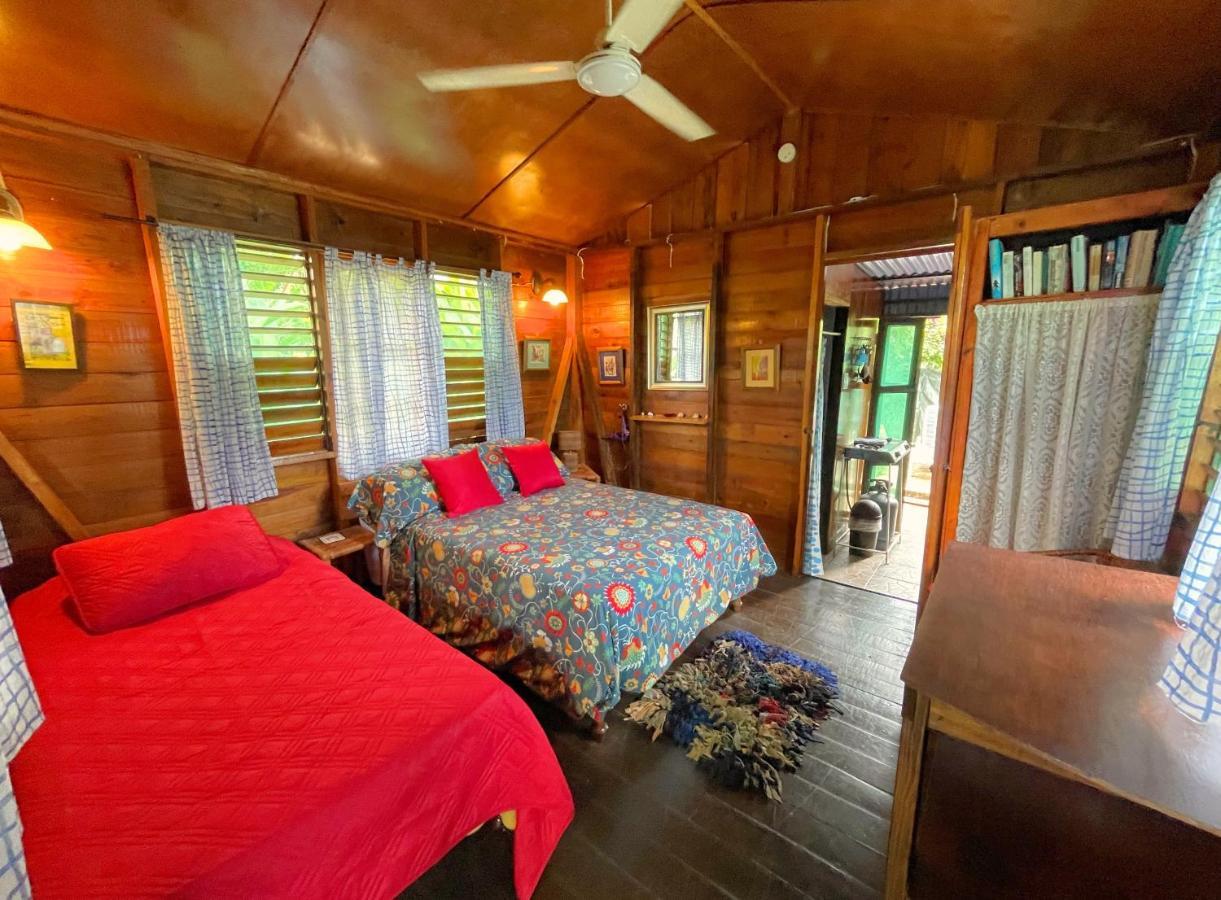 Judy House Cottages And Rooms Negril Exterior foto