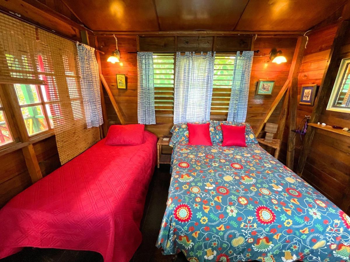 Judy House Cottages And Rooms Negril Habitación foto