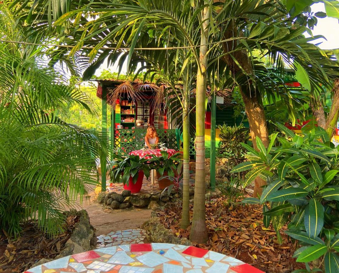 Judy House Cottages And Rooms Negril Exterior foto