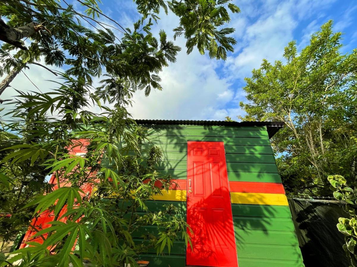 Judy House Cottages And Rooms Negril Habitación foto